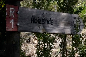 Imagen Noticia Ejemplo sint occaecat cupidatat non proident, sunt in culpa